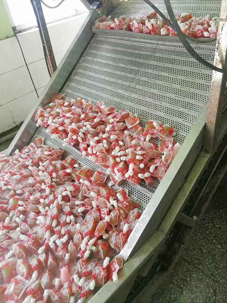 鏈板提升機在食品生產線中的應用
